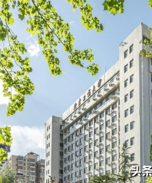 澳门今晚上必开一肖｜重要性解释落实方法