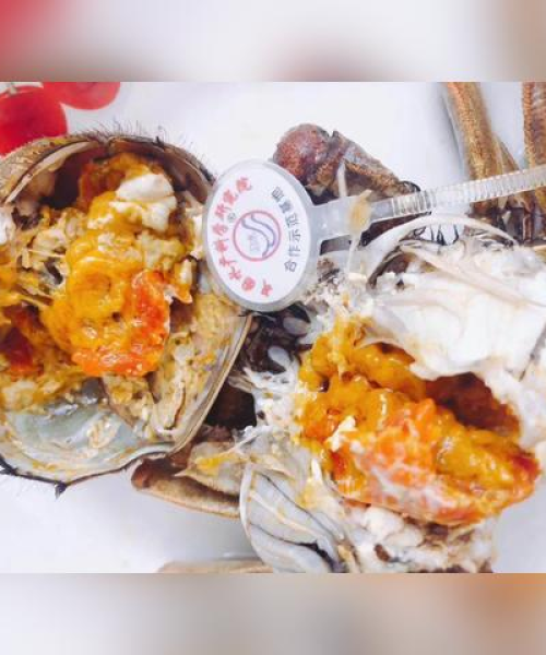 上海临港房地产公司排名及分析