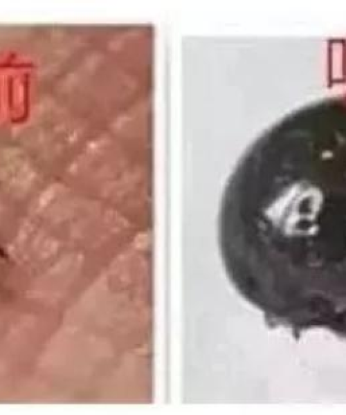世界恐怖照片排名