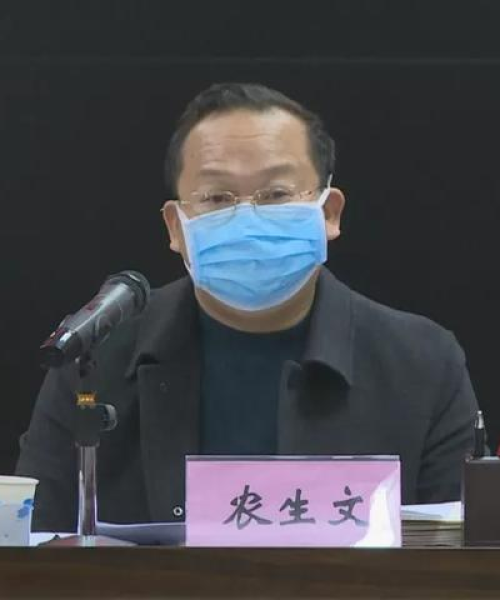 夯雀儿先飞