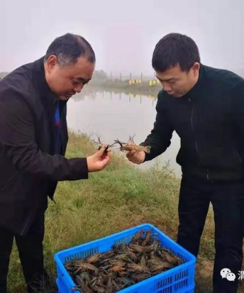 世界最小鱼塘排名