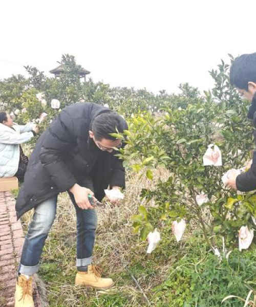 今日广元剑阁最新消息