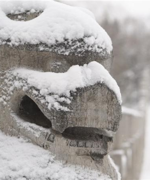 潍坊大雪今日最新消息
