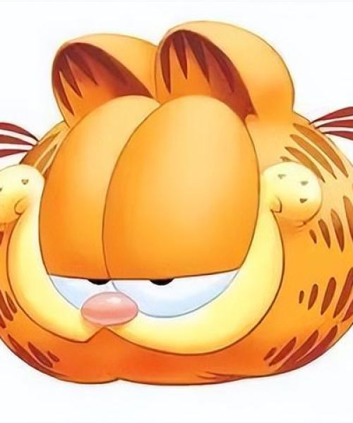 加菲猫语录励志头像背后的故事与智慧