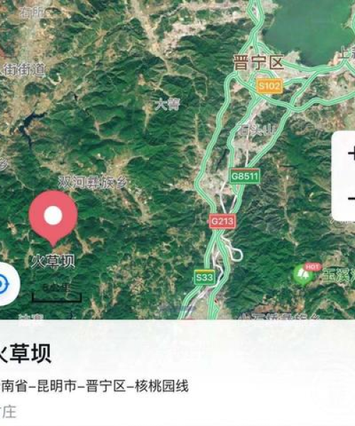 今日南岸新闻最新消息