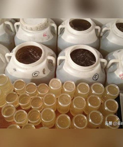 近期蜂蜜事件视频汇总报告（最新数据报告）