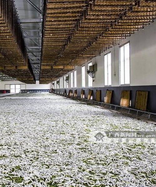 深圳智慧农业公司排名榜揭晓，河南博澳实业集团关注前沿动态