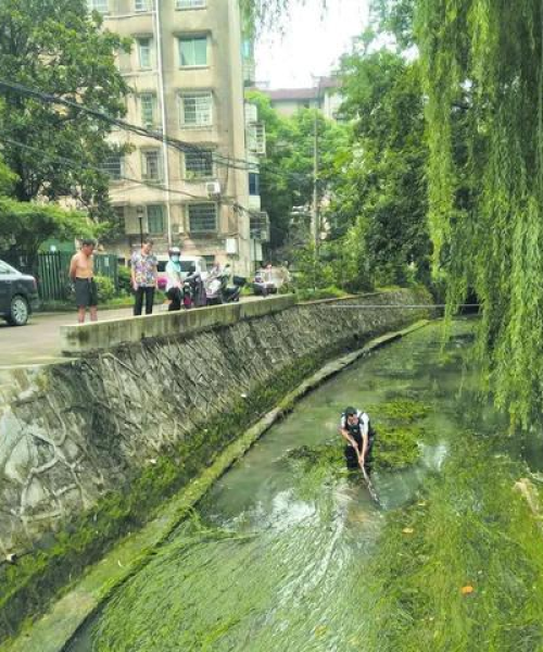 衢州保洁公司排名及服务质量深度解析