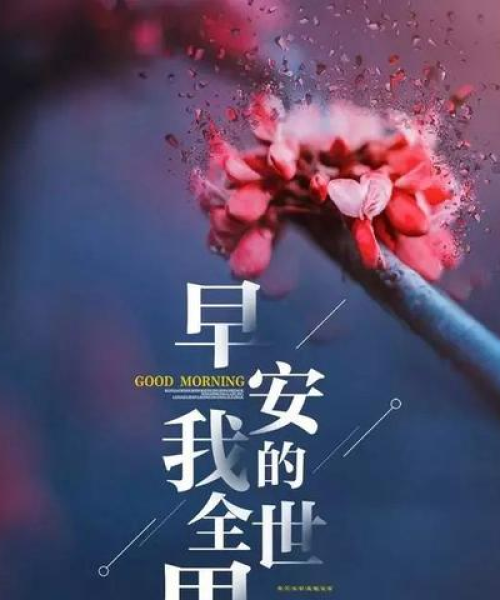 提高自信励志的语录